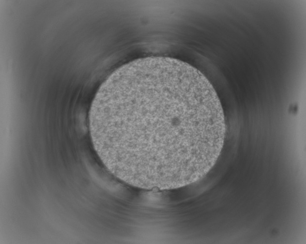 X0000113000187200910081207