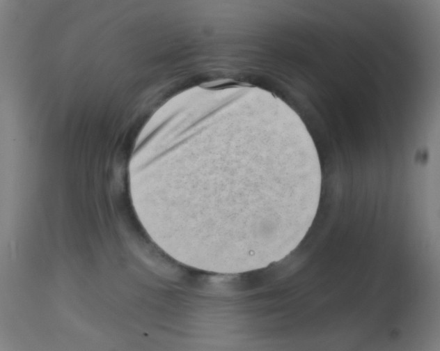 X0000113000188200910081207