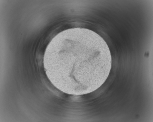 X0000113000189200910081207