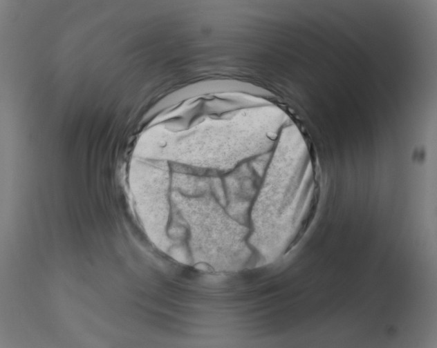 X0000113000190200910081208