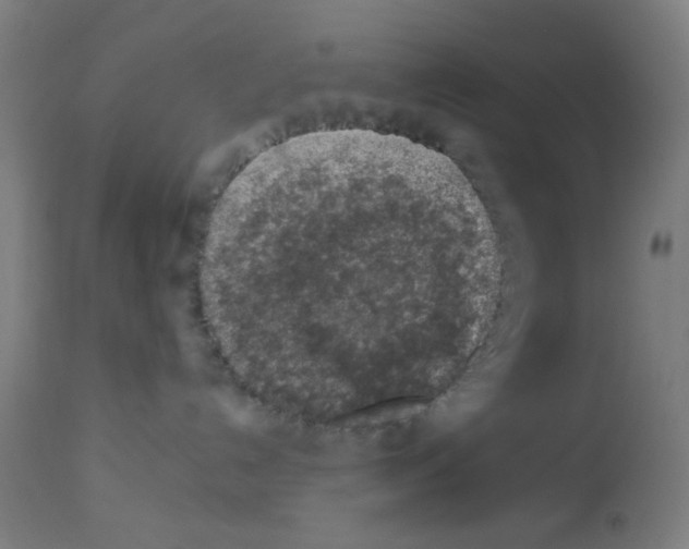 X0000113000192200910081208