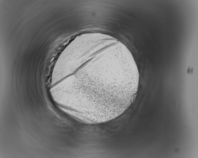 X0000113000193200910081206