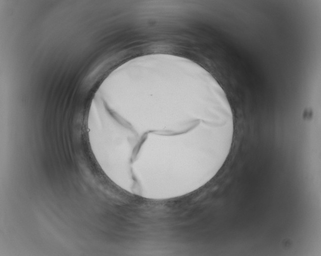 X0000113000194200910081206