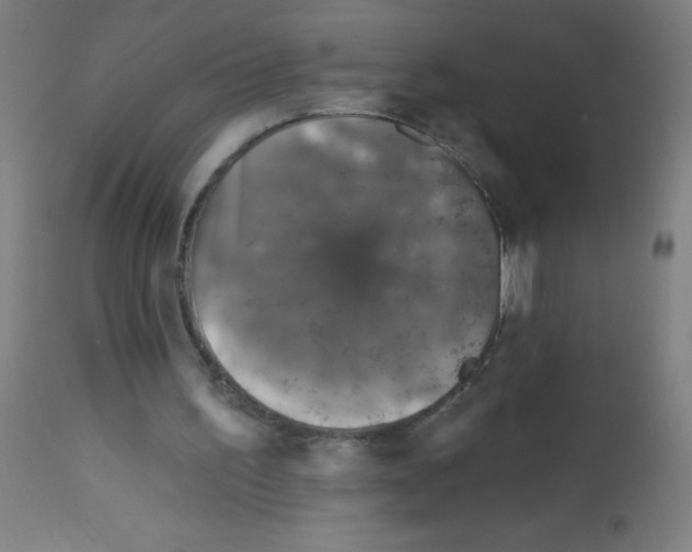 X0000113000195200910081206