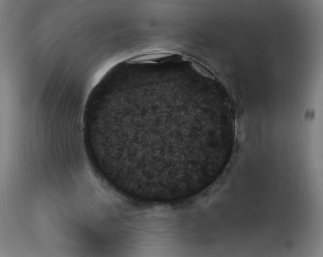 X0000113000196200910081206