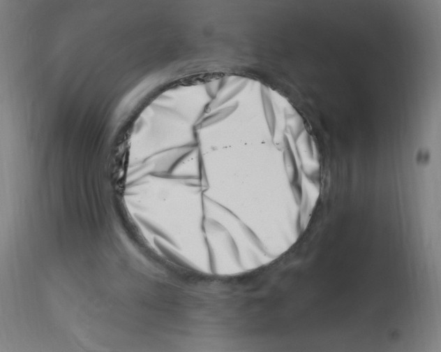 X0000113000197200910081206