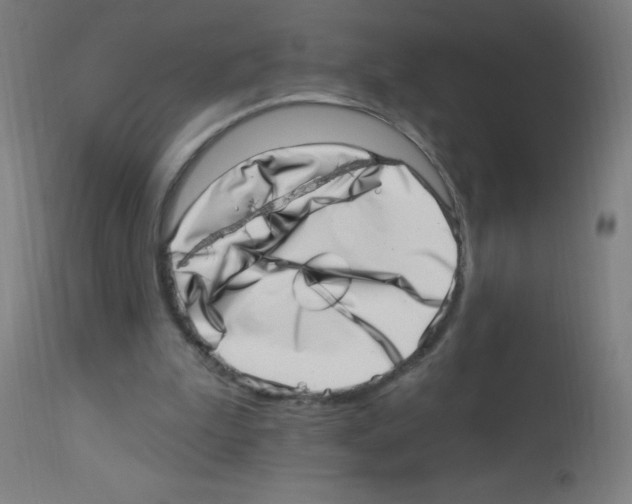 X0000113000199200910081206