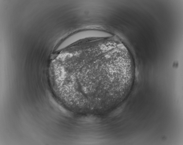 X0000113000201200910081206