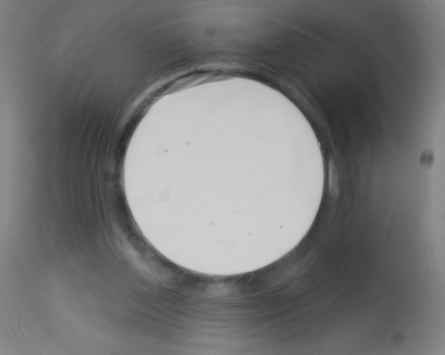 X0000113000204200910081206