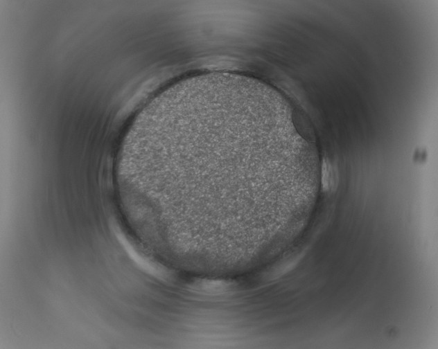 X0000113000205200910081206