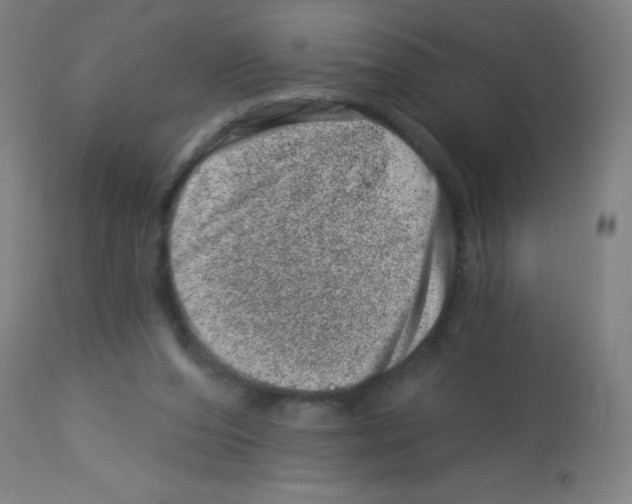 X0000113000208200910081206