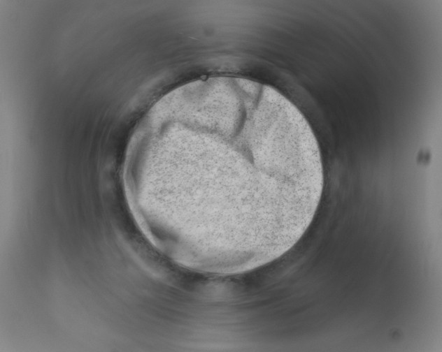 X0000113000209200910081206