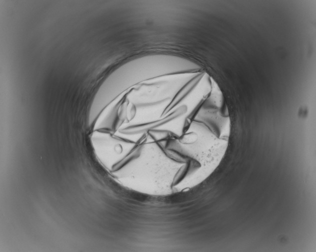 X0000113000211200910081206