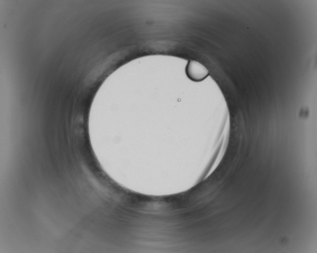 X0000113000212200910081206