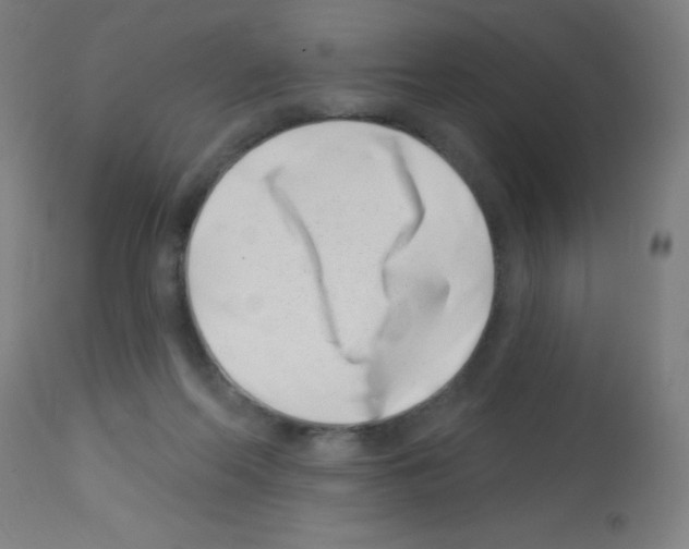 X0000113000214200910081206