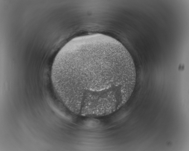 X0000113000215200910081206