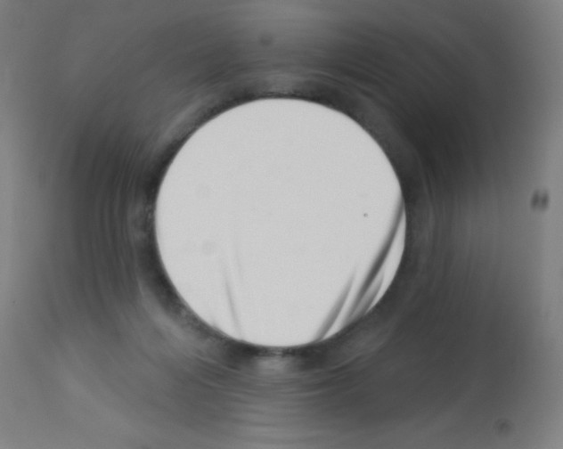 X0000113000216200910081206