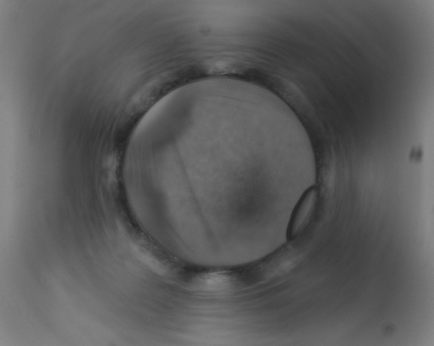 X0000113000219200910081206