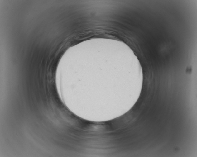 X0000113000220200910081206