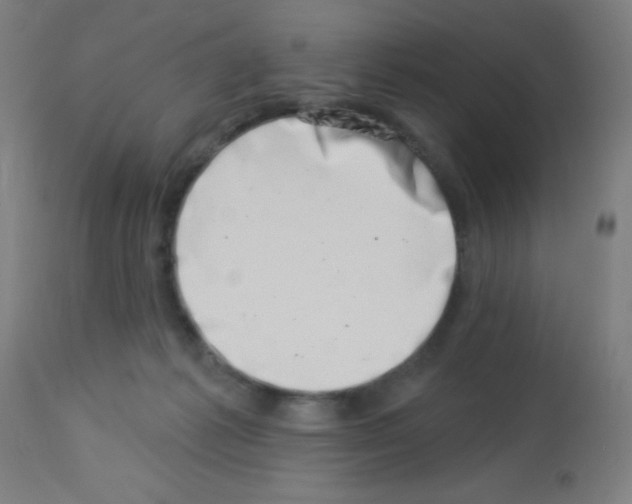 X0000113000221200910081206