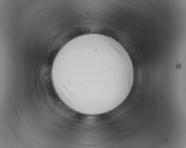 X0000113000222200910081206