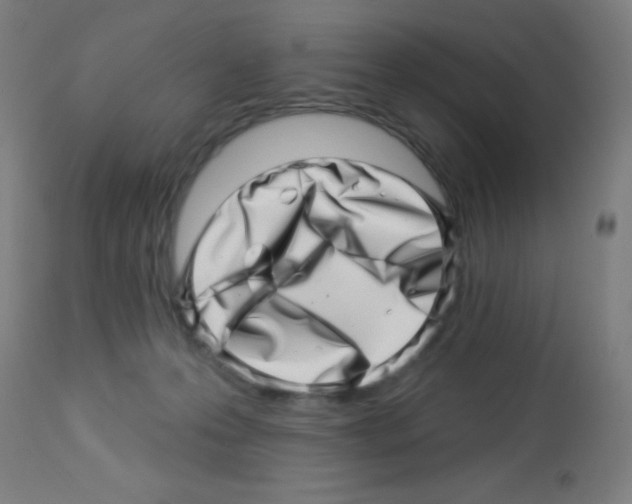 X0000113000223200910081206