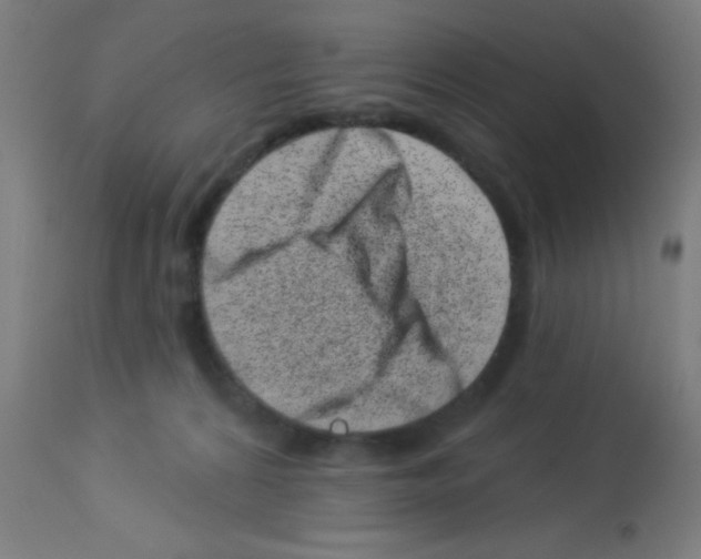 X0000113000224200910081206