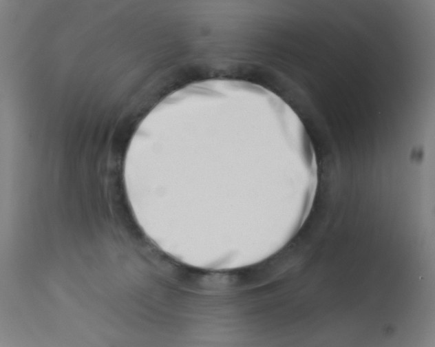 X0000113000225200910081206