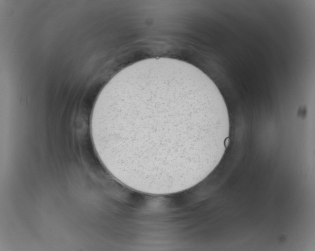 X0000113000226200910081206