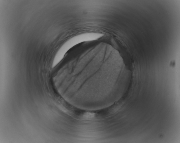 X0000113000227200910081206