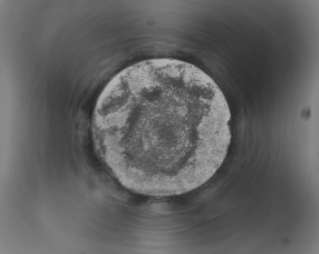 X0000113000228200910081206