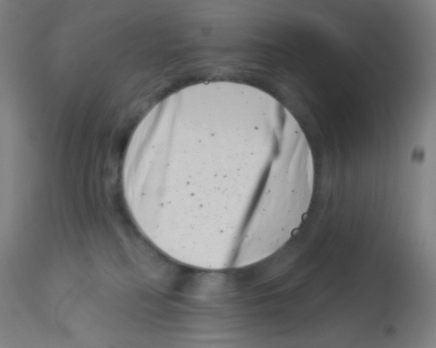 X0000113000230200910081206