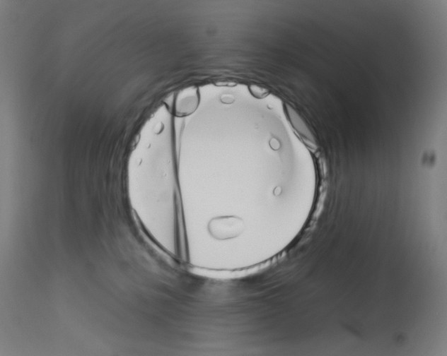 X0000113000231200910081206