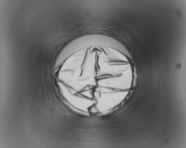 X0000113000235200910081206