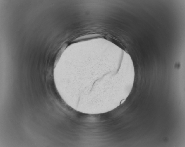 X0000113000236200910081206