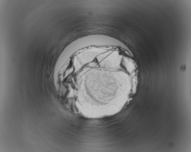 X0000113000237200910081206