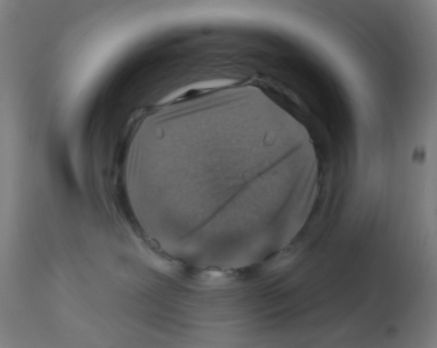 X0000113000239200910081206