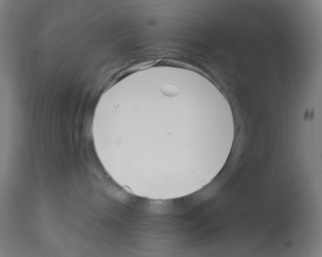 X0000113000240200910081206