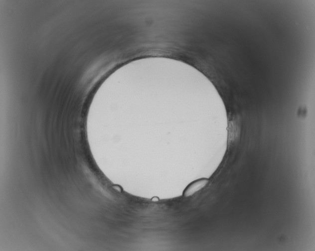 X0000113000243200910081205