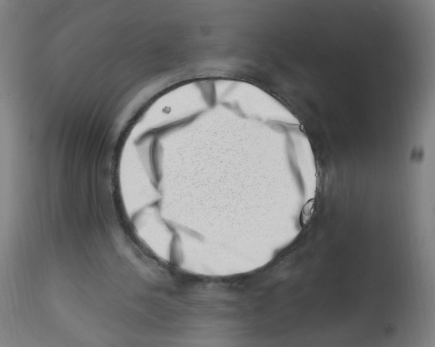 X0000113000244200910081205