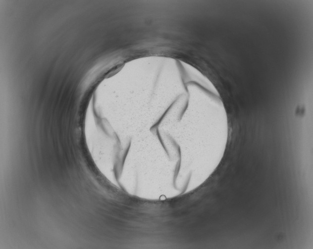 X0000113000245200910081205