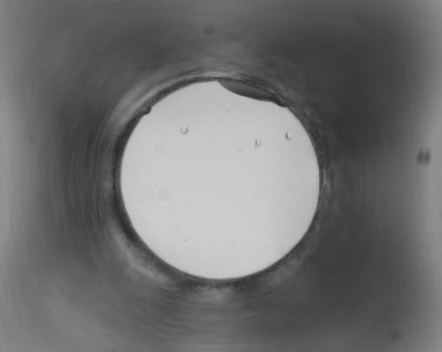 X0000113000247200910081205