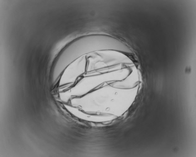 X0000113000248200910081205