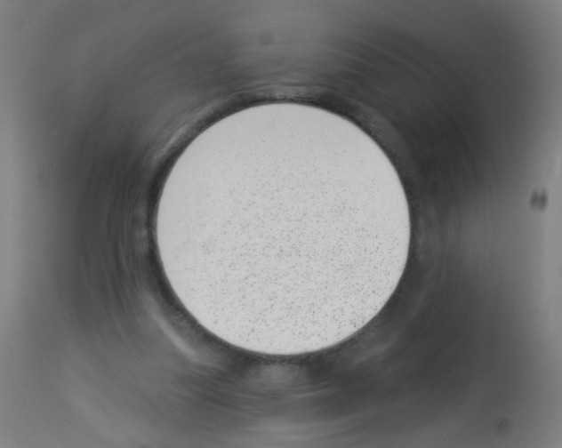 X0000113000251200910081205