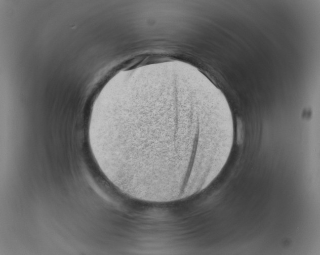 X0000113000252200910081205