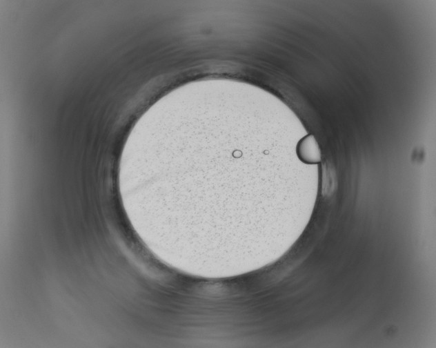 X0000113000253200910081205