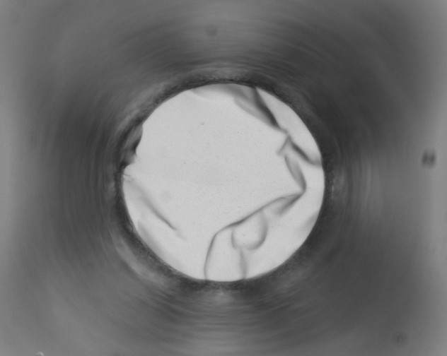 X0000113000254200910081205