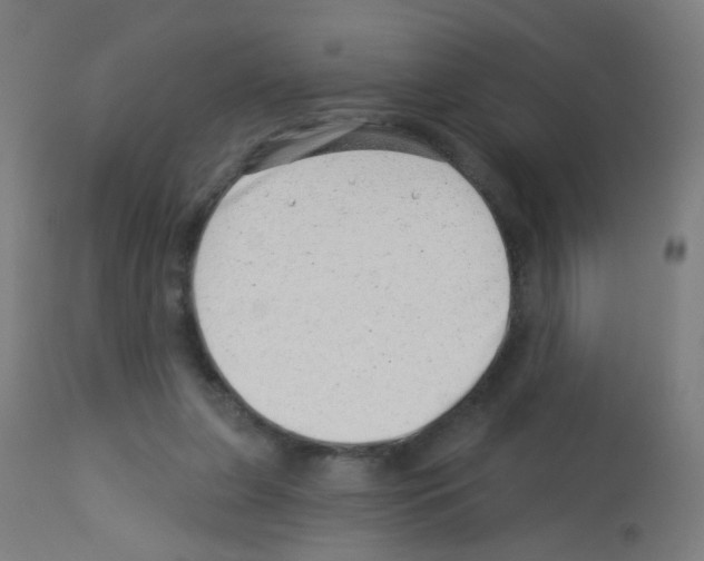 X0000113000255200910081205