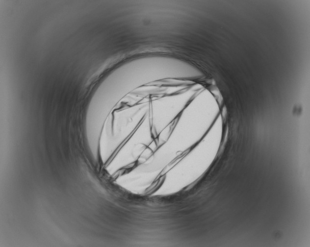 X0000113000256200910081205