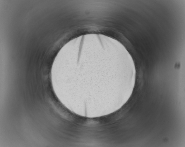 X0000113000257200910081205